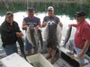 (05/06/2014) - Nice Striped Bass